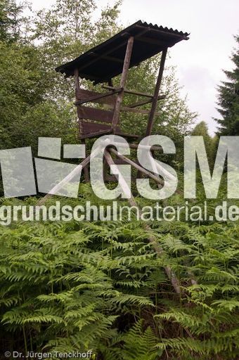 Hochstände (110 von 154).jpg